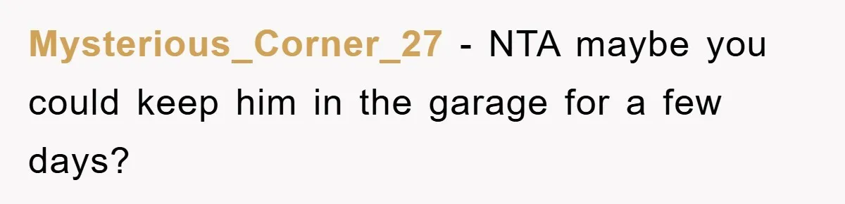 Mysterious_Corner_27 − NTA maybe you could keep him in the garage for a few days?