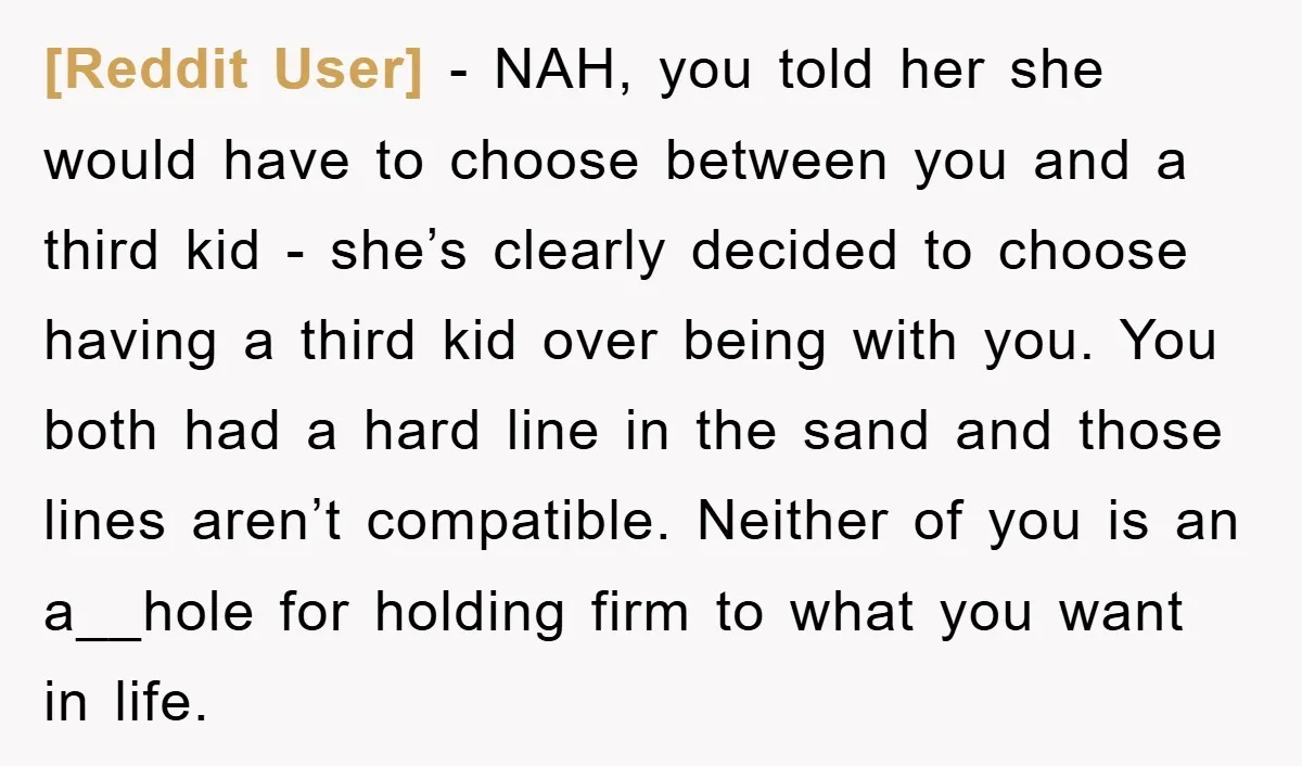 [Reddit User] − NAH, you told her she would have to choose between you and a third kid - she’s clearly decided to choose having a third kid over being...