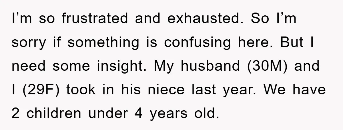 I’m so frustrated and exhausted. So I’m sorry if something is confusing here. But I need some insight. My husband (30M) and I (29F) took in his niece last year....