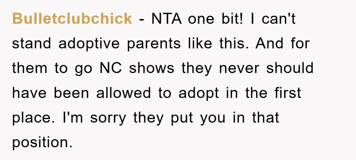 Bulletclubchick − NTA one bit! I can't stand adoptive parents like this. And for them to go NC shows they never should have been allowed to adopt in the first...
