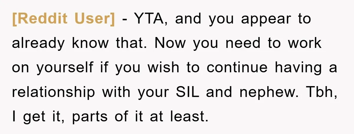 [Reddit User] − YTA, and you appear to already know that. Now you need to work on yourself if you wish to continue having a relationship with your SIL and...