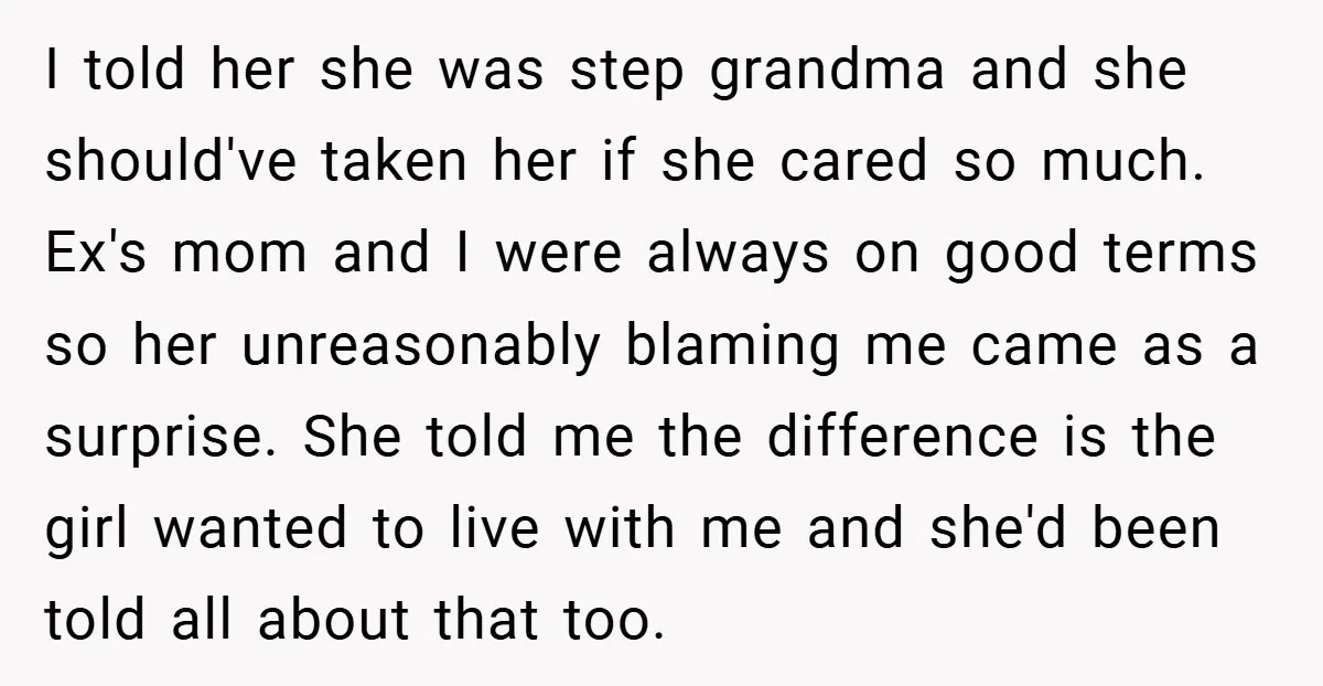 I told her she was step grandma and she should've taken her if she cared so much. Ex's mom and I were always on good terms so her unreasonably blaming...