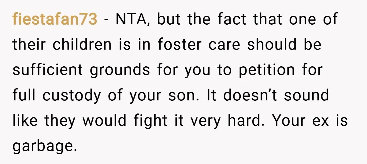 fiestafan73 − NTA, but the fact that one of their children is in foster care should be sufficient grounds for you to petition for full custody of your son. It...