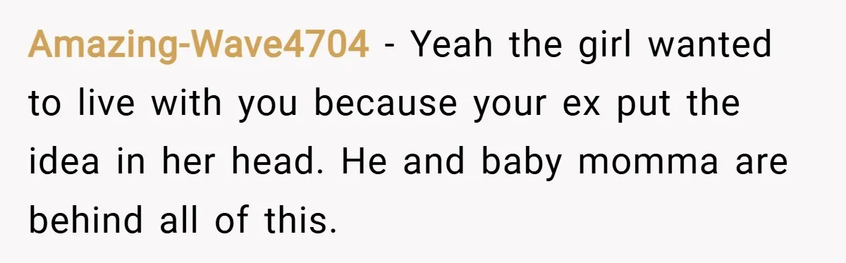 Amazing-Wave4704 − Yeah the girl wanted to live with you because your ex put the idea in her head. He and baby momma are behind all of this.