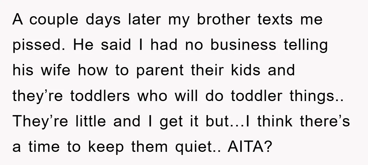 A couple days later my brother texts me pissed. He said I had no business telling his wife how to parent their kids and they’re toddlers who will do toddler...