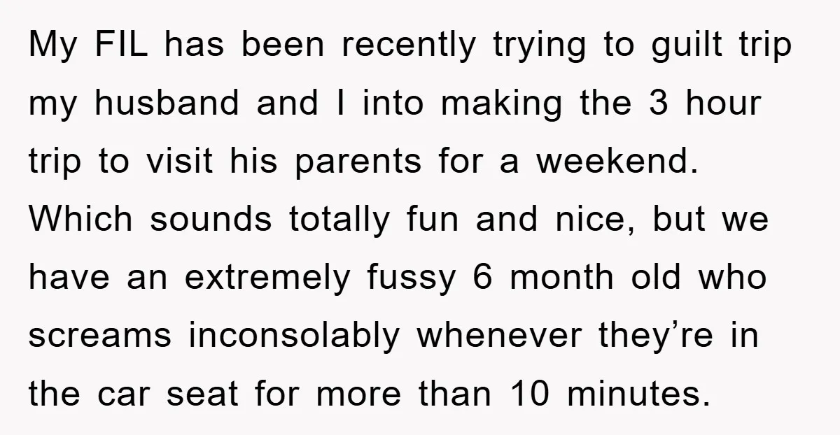 My FIL has been recently trying to guilt trip my husband and I into making the 3 hour trip to visit his parents for a weekend. Which sounds totally fun...