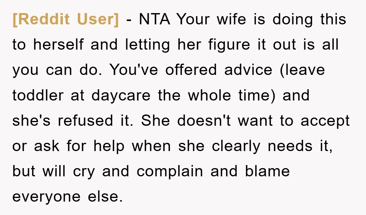 [Reddit User] − NTA Your wife is doing this to herself and letting her figure it out is all you can do. You've offered advice (leave toddler at daycare the...