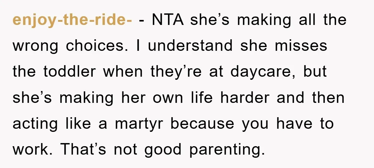 enjoy-the-ride- − NTA she’s making all the wrong choices. I understand she misses the toddler when they’re at daycare, but she’s making her own life harder and then acting like...