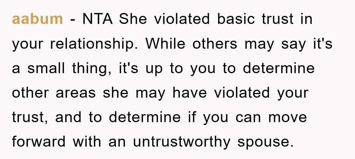 aabum − NTA She violated basic trust in your relationship. While others may say it's a small thing, it's up to you to determine other areas she may have violated...