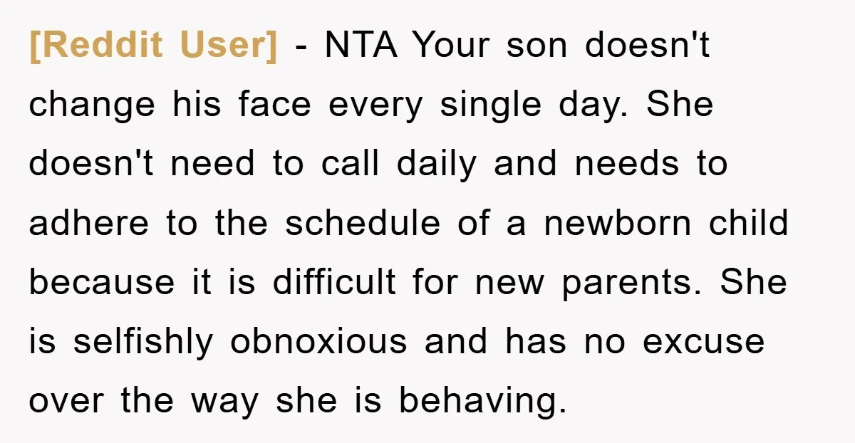 [Reddit User] − NTA Your son doesn't change his face every single day. She doesn't need to call daily and needs to adhere to the schedule of a newborn child...