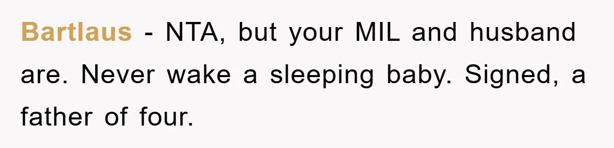 Bartlaus − NTA, but your MIL and husband are. Never wake a sleeping baby. Signed, a father of four.