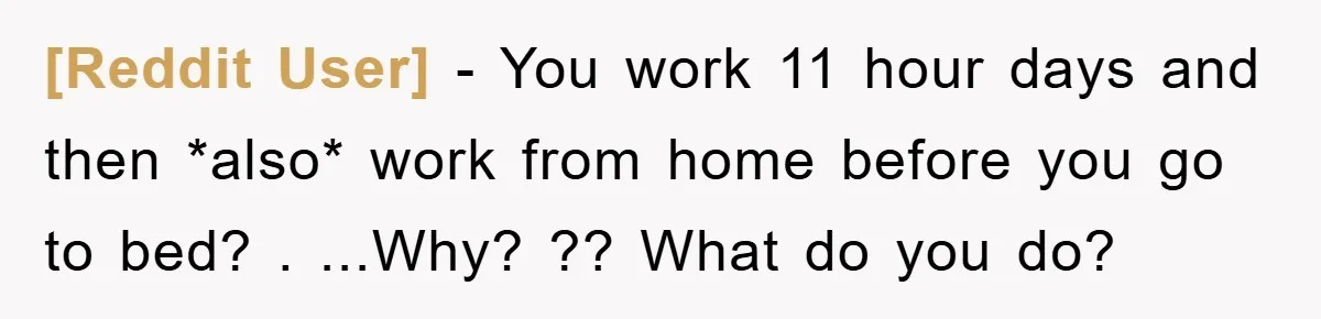 [Reddit User] − You work 11 hour days and then *also* work from home before you go to bed? . ...Why? ?? What do you do?