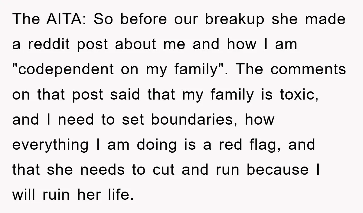 The AITA: So before our breakup she made a reddit post about me and how I am "codependent on my family". The comments on that post said that my family...