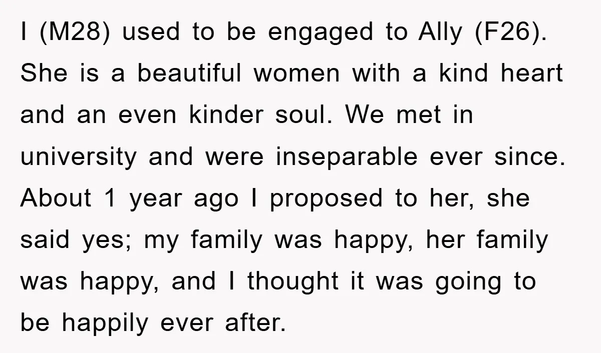 I (M28) used to be engaged to Ally (F26). She is a beautiful women with a kind heart and an even kinder soul. We met in university and were inseparable...