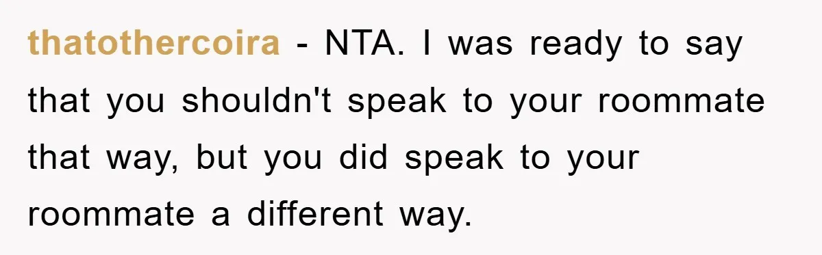 thatothercoira − NTA. I was ready to say that you shouldn't speak to your roommate that way, but you did speak to your roommate a different way.