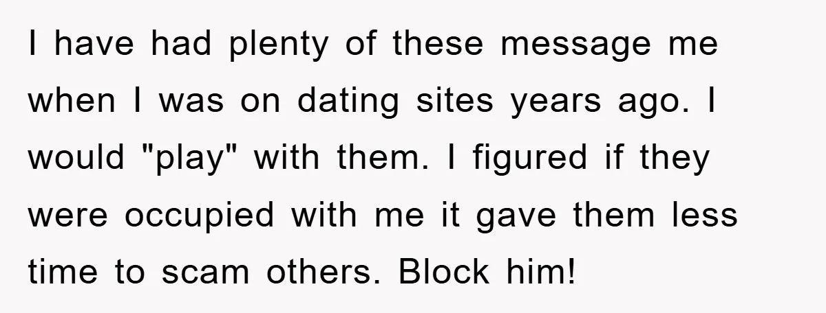 I have had plenty of these message me when I was on dating sites years ago. I would "play" with them. I figured if they were occupied with me it...