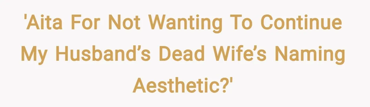 'AITA for not wanting to continue my husband’s dead wife’s naming aesthetic?'