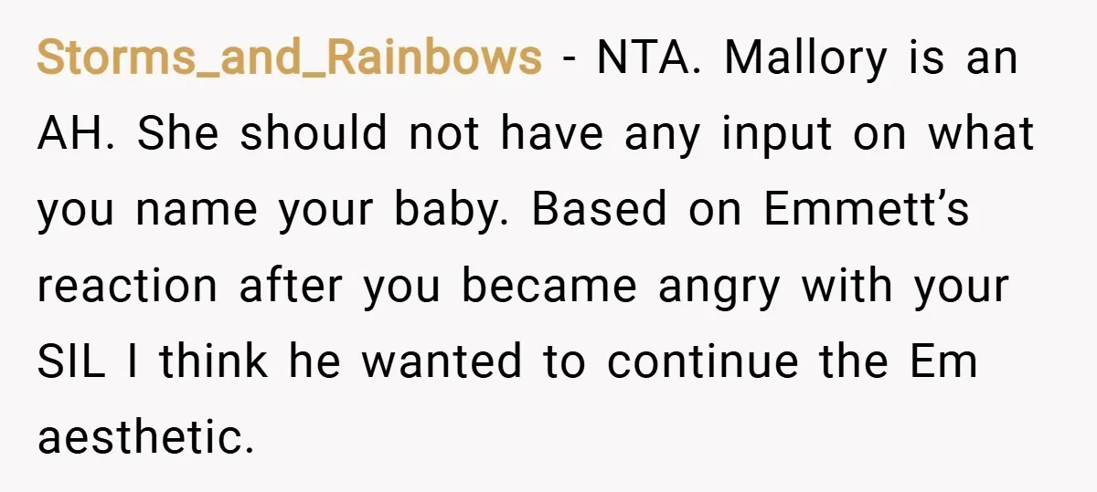 Storms_and_Rainbows − NTA. Mallory is an AH. She should not have any input on what you name your baby. Based on Emmett’s reaction after you became angry with your SIL...