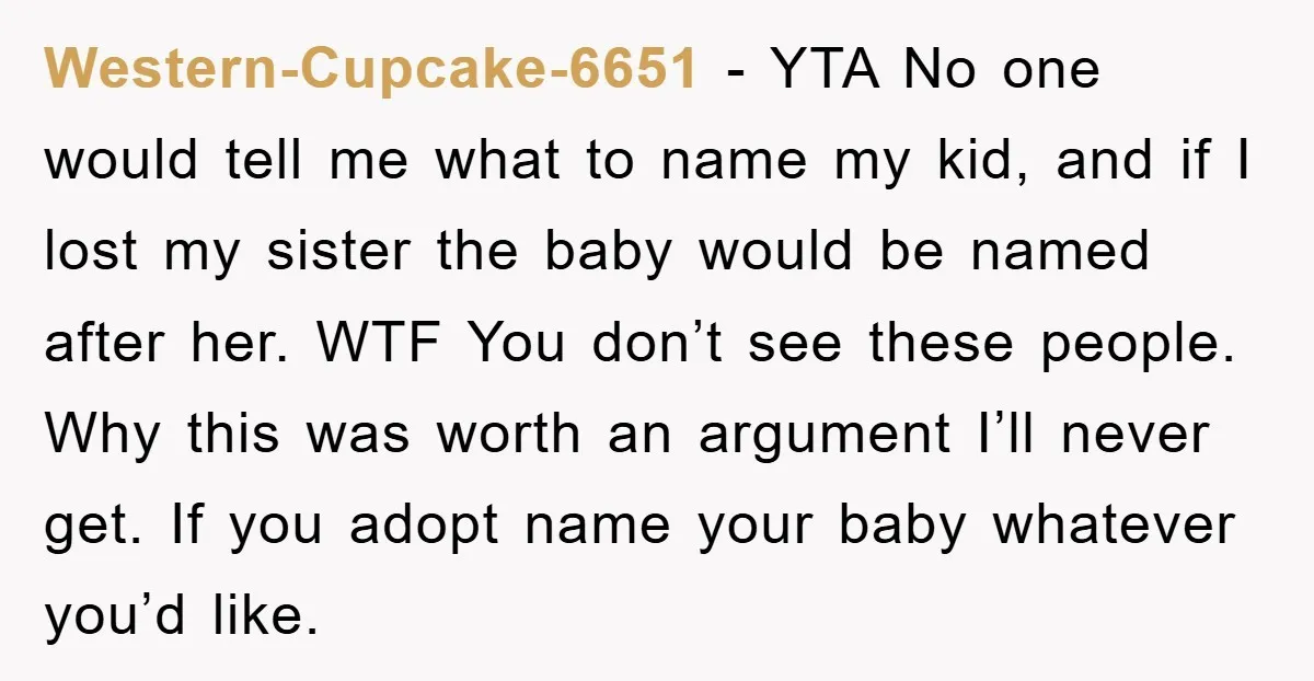 Western-Cupcake-6651 − YTA No one would tell me what to name my kid, and if I lost my sister the baby would be named after her. WTF You don’t see...
