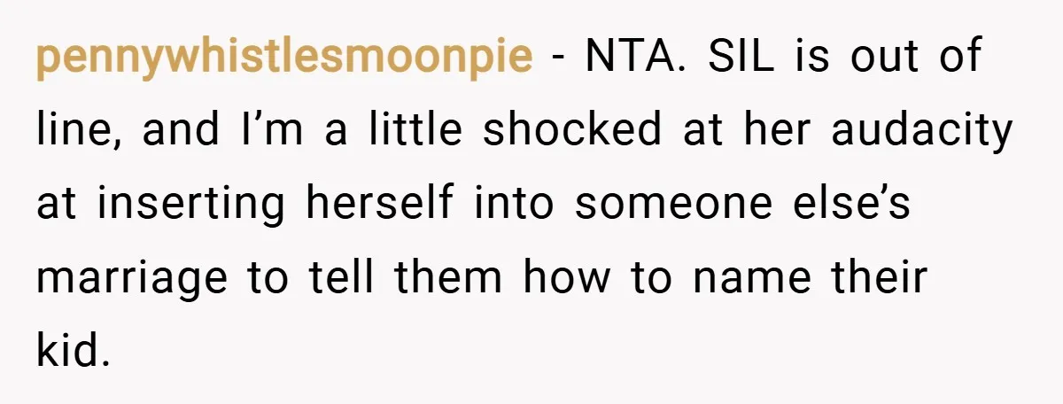 pennywhistlesmoonpie − NTA. SIL is out of line, and I’m a little shocked at her audacity at inserting herself into someone else’s marriage to tell them how to name their...