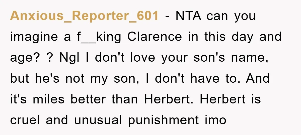 Anxious_Reporter_601 − NTA can you imagine a f__king Clarence in this day and age? ? Ngl I don't love your son's name, but he's not my son, I don't have...