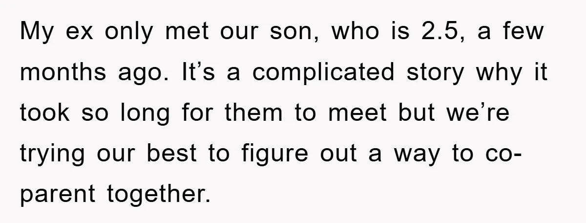 My ex only met our son, who is 2.5, a few months ago. It’s a complicated story why it took so long for them to meet but we’re trying our...