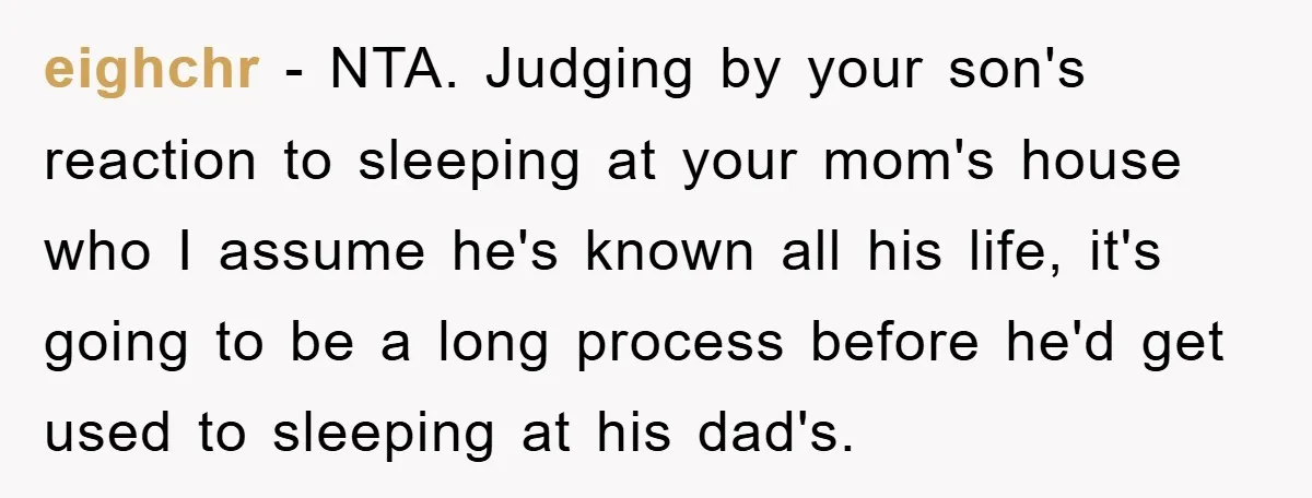 eighchr − NTA. Judging by your son's reaction to sleeping at your mom's house who I assume he's known all his life, it's going to be a long process before...