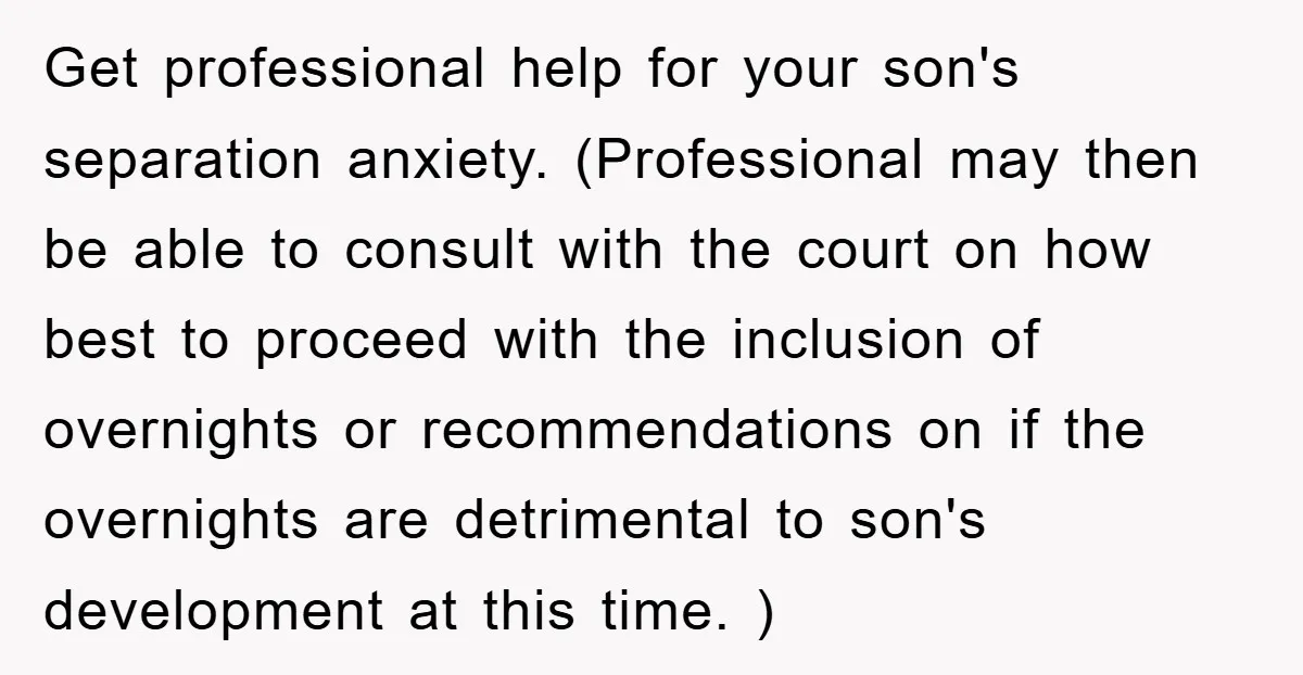 Get professional help for your son's separation anxiety. (Professional may then be able to consult with the court on how best to proceed with the inclusion of overnights or recommendations...