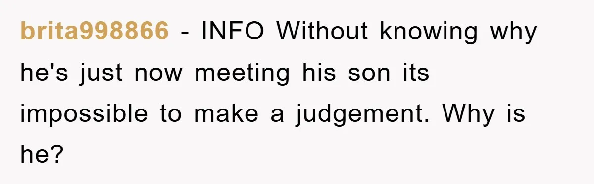 brita998866 − INFO Without knowing why he's just now meeting his son its impossible to make a judgement. Why is he?