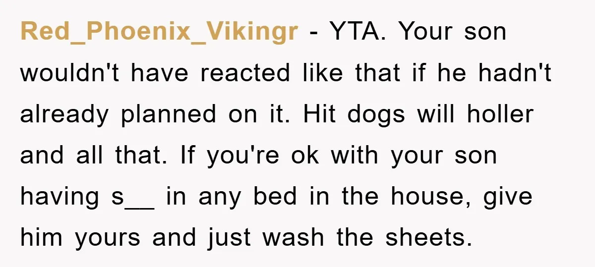 Red_Phoenix_Vikingr − YTA. Your son wouldn't have reacted like that if he hadn't already planned on it. Hit dogs will holler and all that. If you're ok with your son...