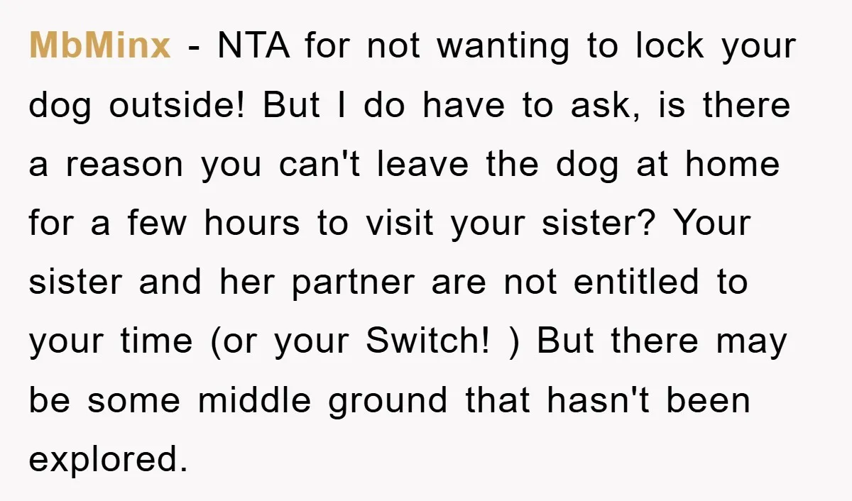 MbMinx − NTA for not wanting to lock your dog outside! But I do have to ask, is there a reason you can't leave the dog at home for a...