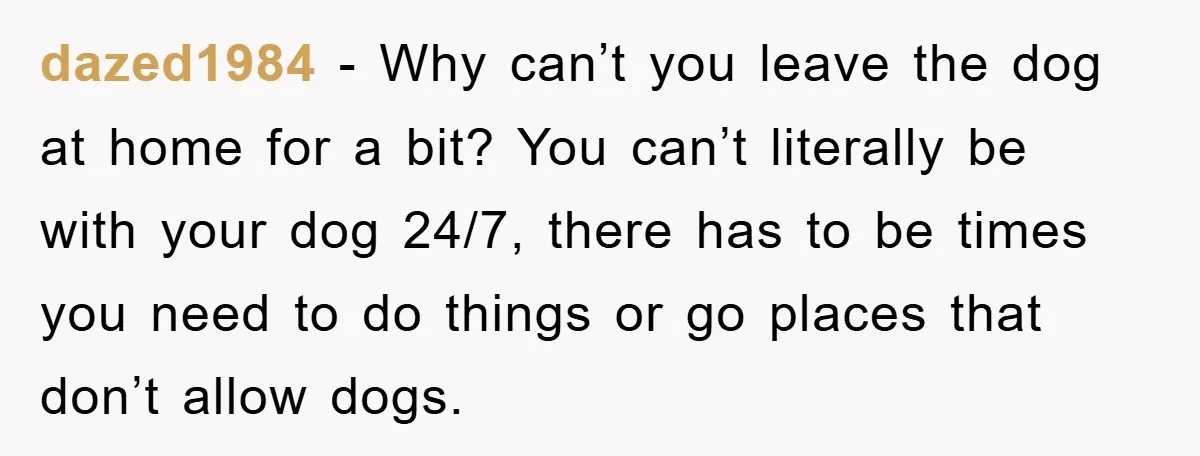 dazed1984 − Why can’t you leave the dog at home for a bit? You can’t literally be with your dog 24/7, there has to be times you need to do...