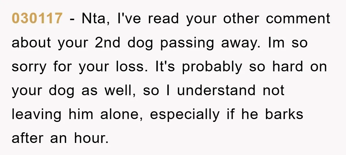 030117 − Nta, I've read your other comment about your 2nd dog passing away. Im so sorry for your loss. It's probably so hard on your dog as well, so...