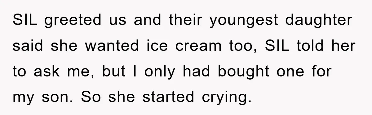 SIL greeted us and their youngest daughter said she wanted ice cream too, SIL told her to ask me, but I only had bought one for my son. So she...