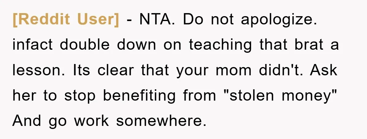 [Reddit User] − NTA. Do not apologize. infact double down on teaching that brat a lesson. Its clear that your mom didn't. Ask her to stop benefiting from "stolen money"...