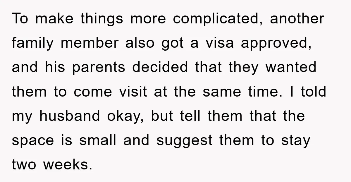 To make things more complicated, another family member also got a visa approved, and his parents decided that they wanted them to come visit at the same time. I told...