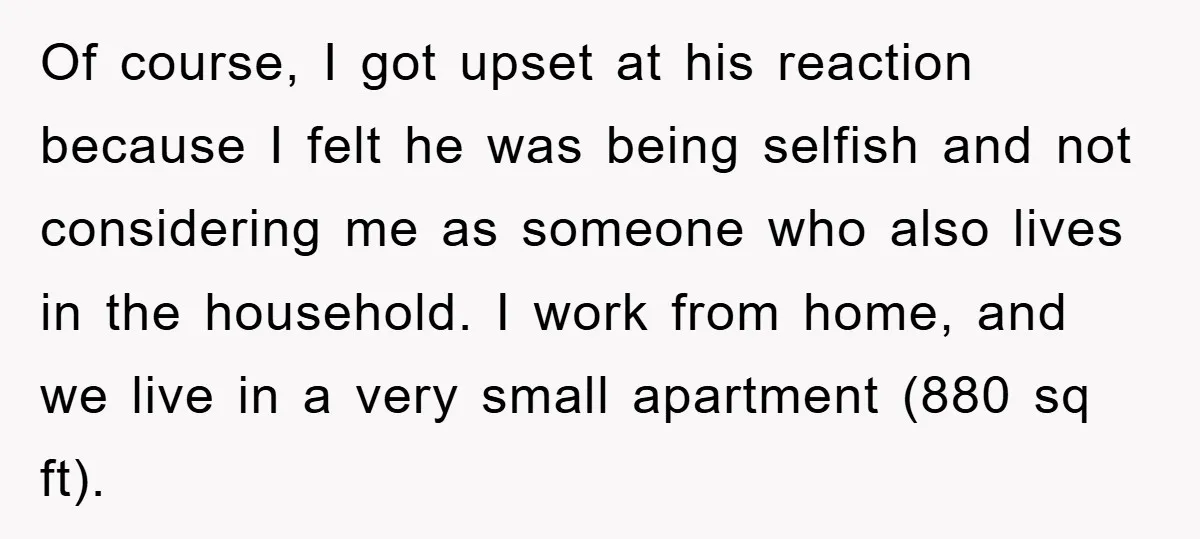 Of course, I got upset at his reaction because I felt he was being selfish and not considering me as someone who also lives in the household. I work from...