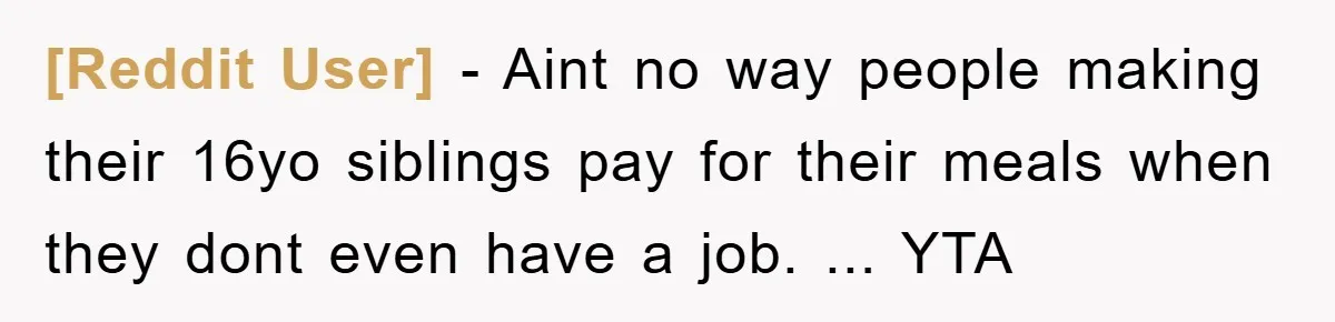 [Reddit User] − Aint no way people making their 16yo siblings pay for their meals when they dont even have a job. ... YTA