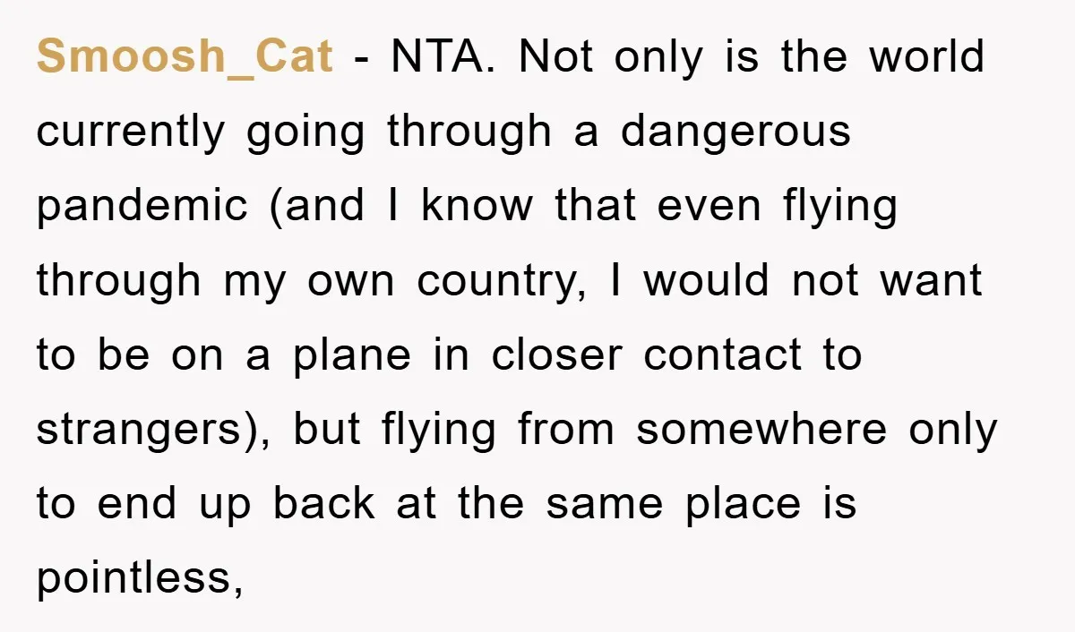 Smoosh_Cat − NTA. Not only is the world currently going through a dangerous pandemic (and I know that even flying through my own country, I would not want to be...