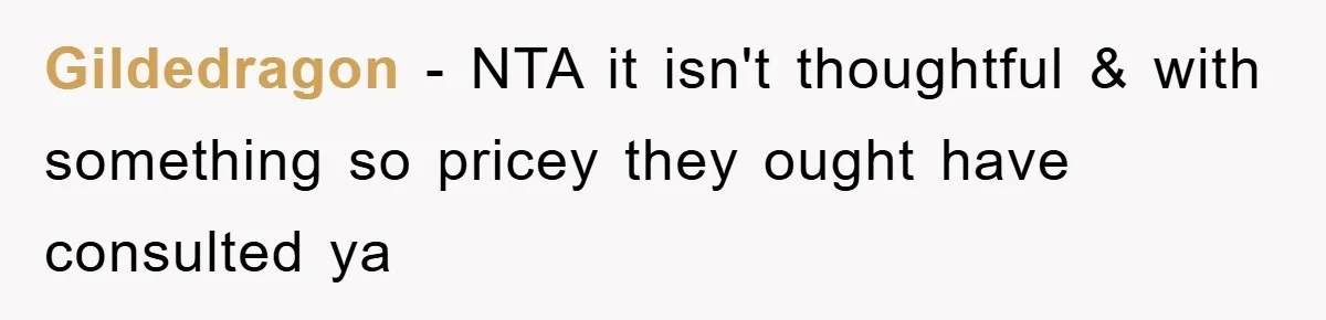 Gildedragon − NTA it isn't thoughtful & with something so pricey they ought have consulted ya
