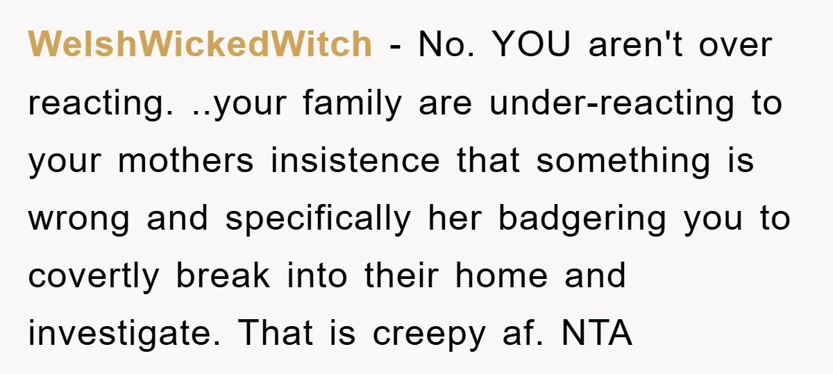 WelshWickedWitch − No. YOU aren't over reacting. ..your family are under-reacting to your mothers insistence that something is wrong and specifically her badgering you to covertly break into their home...