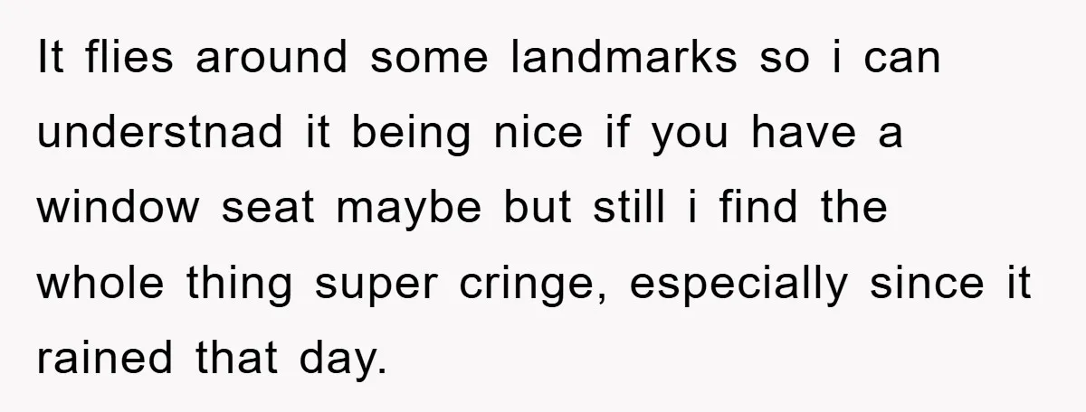 It flies around some landmarks so i can understnad it being nice if you have a window seat maybe but still i find the whole thing super cringe, especially since...