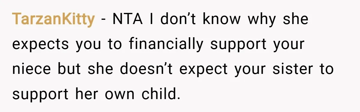 TarzanKitty − NTA I don’t know why she expects you to financially support your niece but she doesn’t expect your sister to support her own child.