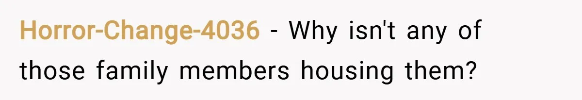 Horror-Change-4036 − Why isn't any of those family members housing them?