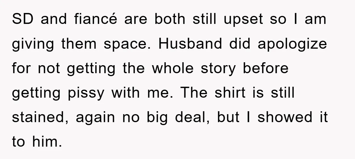 SD and fiancé are both still upset so I am giving them space. Husband did apologize for not getting the whole story before getting pissy with me. The shirt is...
