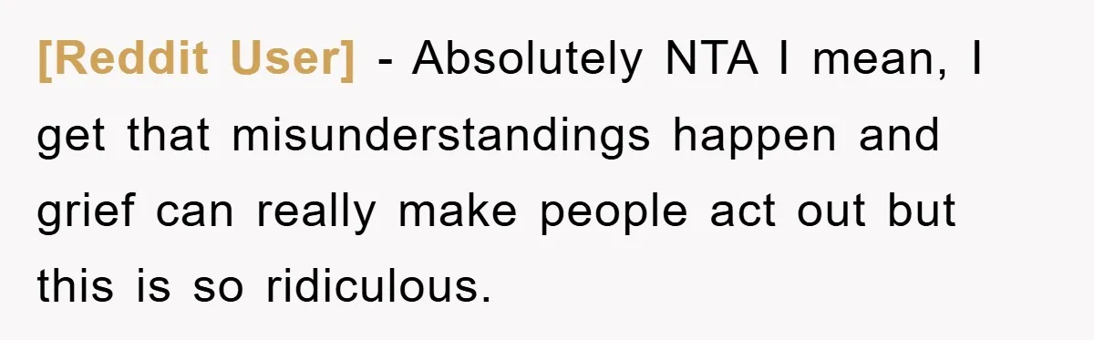 [Reddit User] − Absolutely NTA I mean, I get that misunderstandings happen and grief can really make people act out but this is so ridiculous.