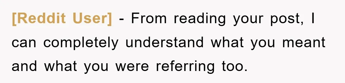 [Reddit User] − From reading your post, I can completely understand what you meant and what you were referring too.