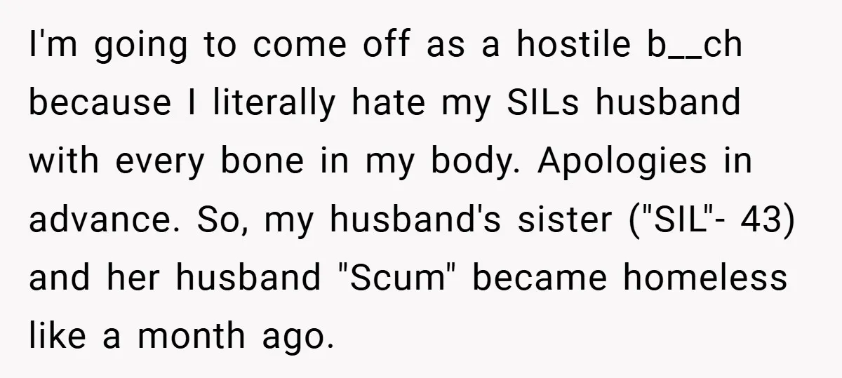 I'm going to come off as a hostile b__ch because I literally hate my SILs husband with every bone in my body. Apologies in advance. So, my husband's sister ("SIL"-...