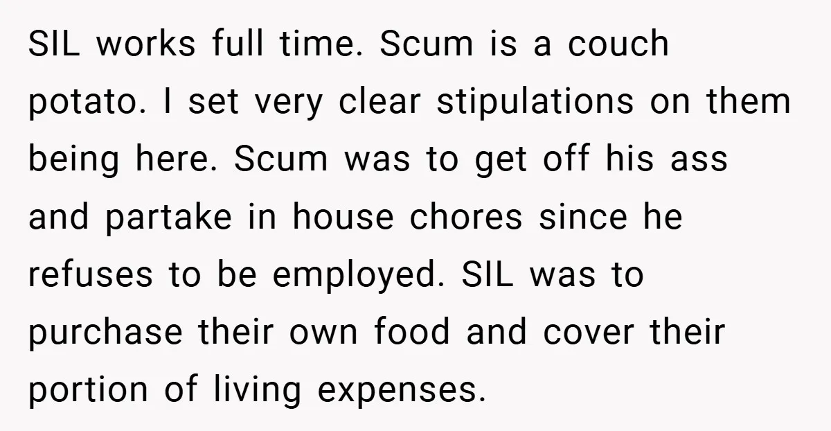 SIL works full time. Scum is a couch potato. I set very clear stipulations on them being here. Scum was to get off his ass and partake in house chores...