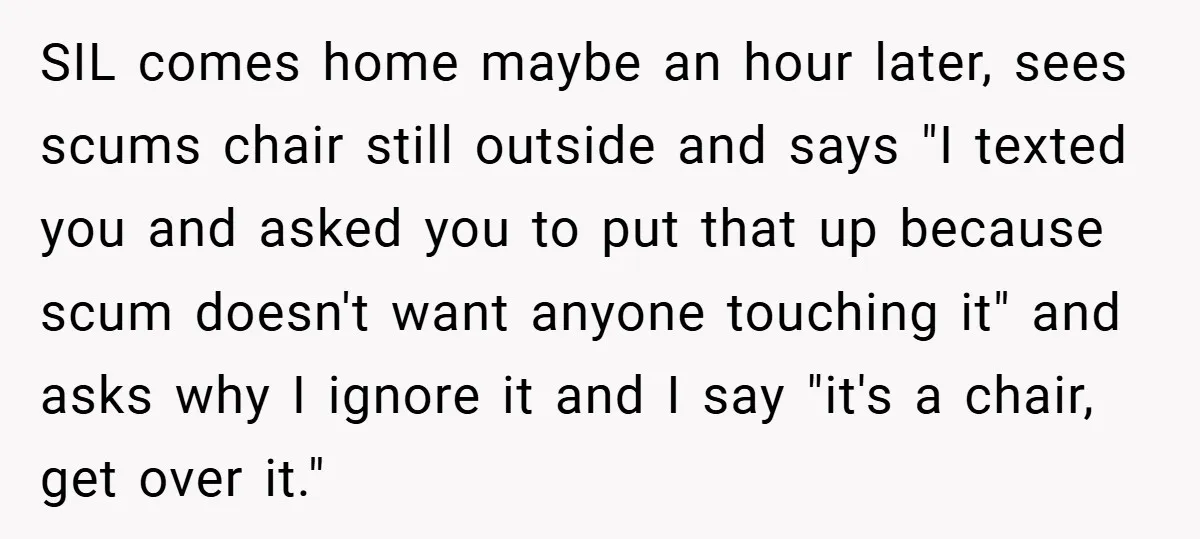SIL comes home maybe an hour later, sees scums chair still outside and says "I texted you and asked you to put that up because scum doesn't want anyone touching...